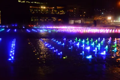 DSC_0719 (Large).JPG